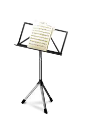 13041.png